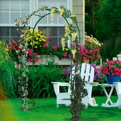 Metal Garden Arch 'Classic'